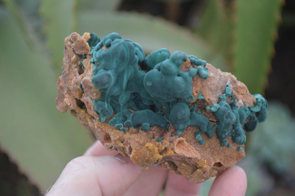 Natural Rare Ball Malachite On Quartz & Dolomite Specimens x 2 From Kambove, Congo - Toprock Gemstones and Minerals 