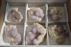 Natural Mixed Spirit Quartz Clusters x 6 From Boekenhouthoek, South Africa - Toprock Gemstones and Minerals 