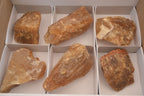 Natural Honey Aragonite Etched & Cobbed Pieces  x 6 From Namibia - Toprock Gemstones and Minerals 