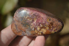 Polished Pink Rhodonite Free Forms  x 6 From Zimbabwe - Toprock Gemstones and Minerals 