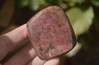 Polished Pink Rhodonite Free Forms  x 6 From Zimbabwe - Toprock Gemstones and Minerals 
