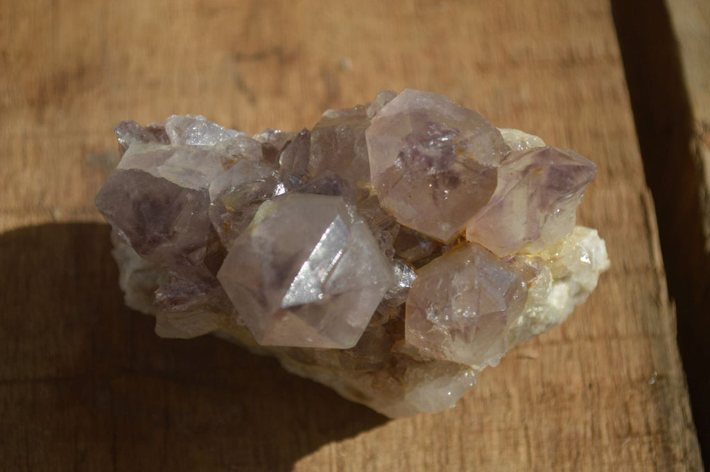 Natural Mixed Spirit Quartz Clusters x 6 From Boekenhouthoek, South Africa - Toprock Gemstones and Minerals 