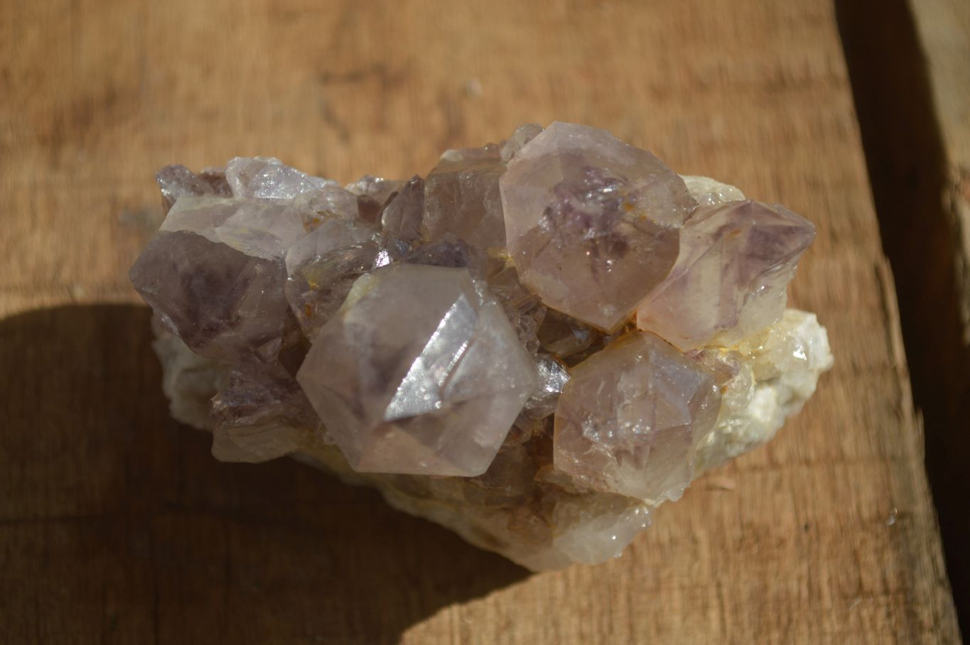 Natural Mixed Spirit Quartz Clusters x 6 From Boekenhouthoek, South Africa - Toprock Gemstones and Minerals 