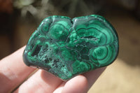 Polished Flower Banded Malachite Free Forms  x 12 From Congo - Toprock Gemstones and Minerals 