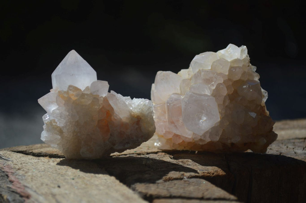 Natural White Spirit Cactus Quartz Clusters  x 12 From Boekenhouthoek, South Africa - Toprock Gemstones and Minerals 