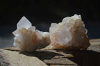 Natural White Spirit Cactus Quartz Clusters  x 12 From Boekenhouthoek, South Africa - Toprock Gemstones and Minerals 
