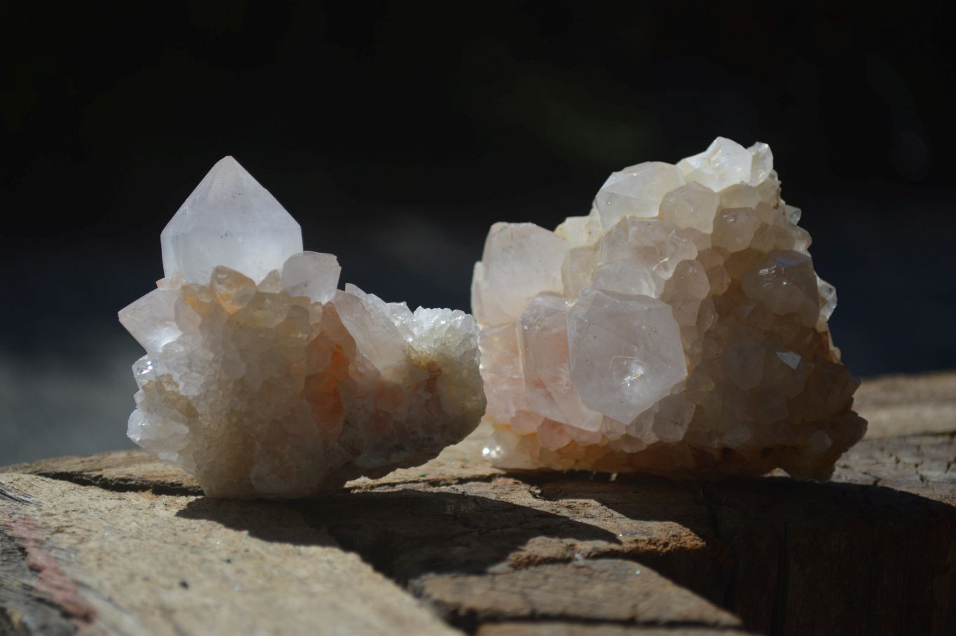Natural White Spirit Cactus Quartz Clusters  x 12 From Boekenhouthoek, South Africa - Toprock Gemstones and Minerals 