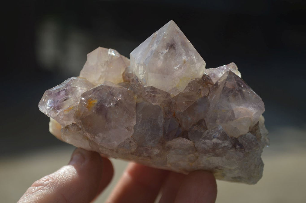 Natural Mixed Spirit Quartz Clusters x 6 From Boekenhouthoek, South Africa - Toprock Gemstones and Minerals 