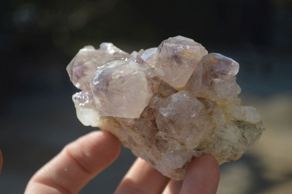 Natural Mixed Spirit Quartz Clusters x 6 From Boekenhouthoek, South Africa - Toprock Gemstones and Minerals 
