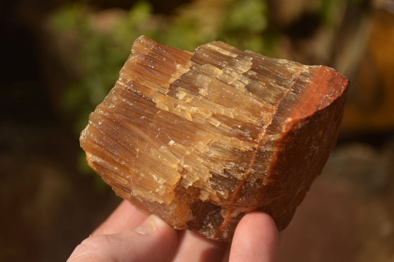 Natural Honey Aragonite Etched & Cobbed Pieces  x 6 From Namibia - Toprock Gemstones and Minerals 