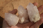 Natural White Cactus Flower Spirit Quartz Specimens x 12 From Boekenhouthoek, South Africa - Toprock Gemstones and Minerals 