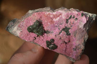 Natural Pink Salrose Cobaltion Dolomite Specimens  x 6 From Kakanda, Congo - Toprock Gemstones and Minerals 