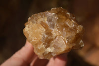 Natural Honey Aragonite Etched & Cobbed Pieces  x 6 From Namibia - Toprock Gemstones and Minerals 