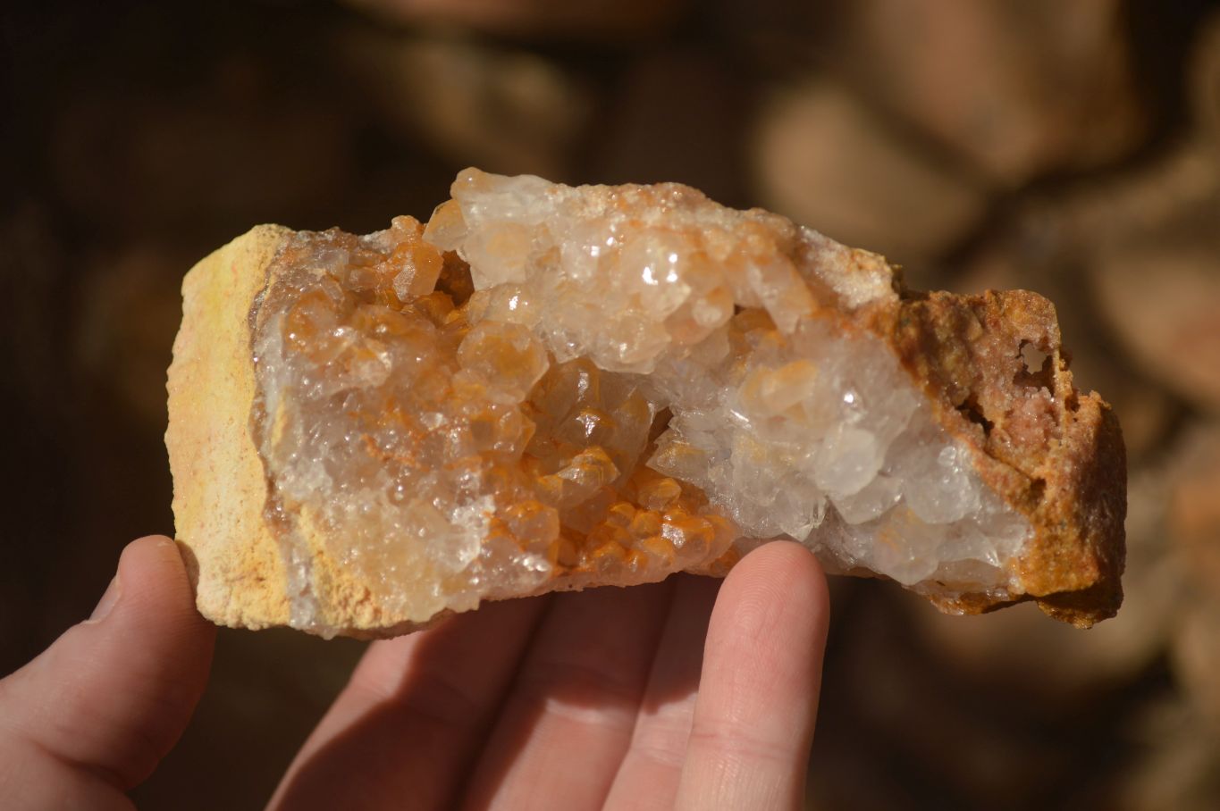 Natural Mixed Selection Of Quartz Specimens x 5 From Southern Africa - Toprock Gemstones and Minerals 
