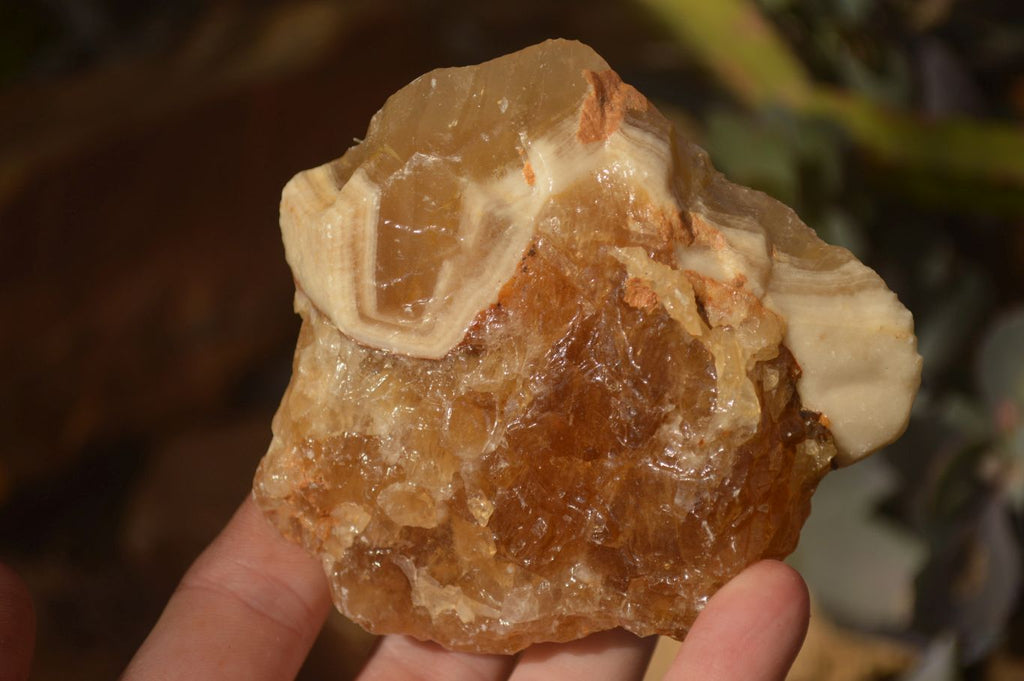Natural Honey Aragonite Etched & Cobbed Pieces  x 6 From Namibia - Toprock Gemstones and Minerals 