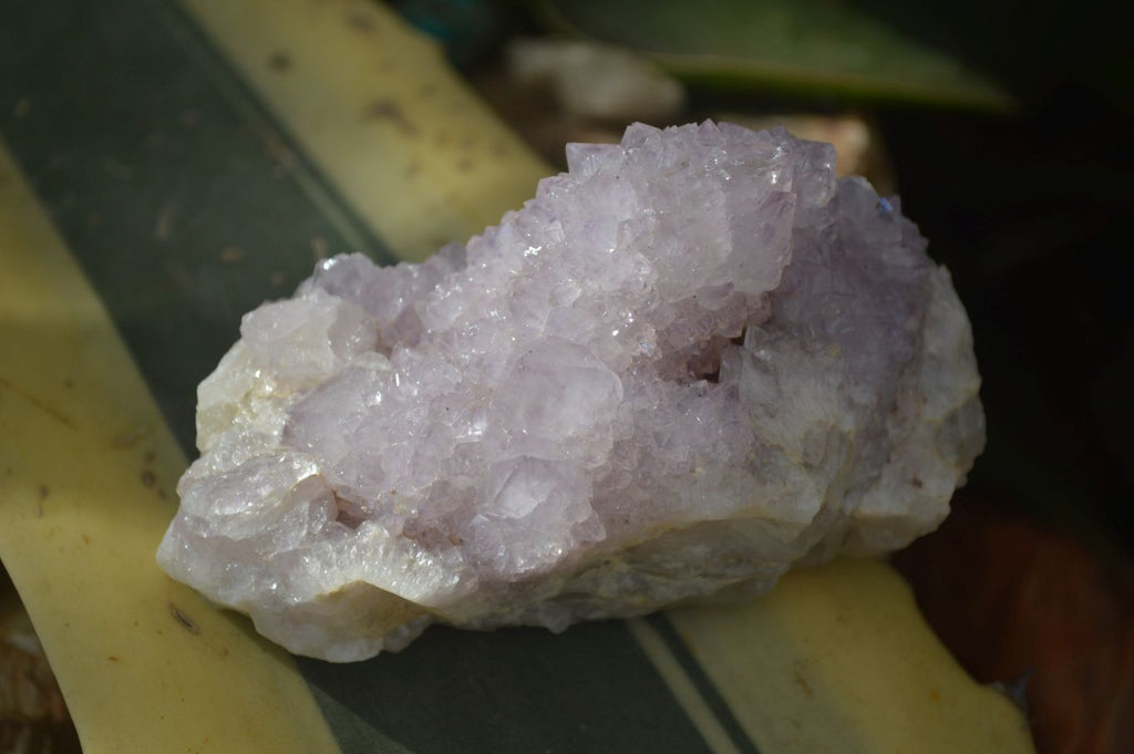 Natural Mixed Spirit Quartz Clusters x 6 From Boekenhouthoek, South Africa - Toprock Gemstones and Minerals 