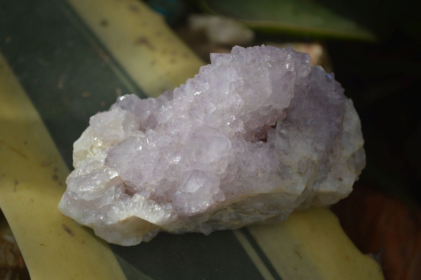 Natural Mixed Spirit Quartz Clusters x 6 From Boekenhouthoek, South Africa - Toprock Gemstones and Minerals 