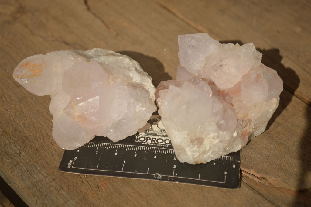 Natural White Cactus Flower Spirit Quartz Specimens x 12 From Boekenhouthoek, South Africa - Toprock Gemstones and Minerals 