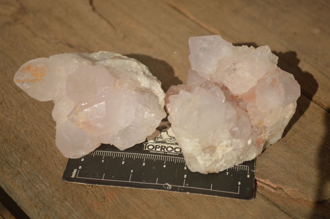 Natural White Cactus Flower Spirit Quartz Specimens x 12 From Boekenhouthoek, South Africa - Toprock Gemstones and Minerals 