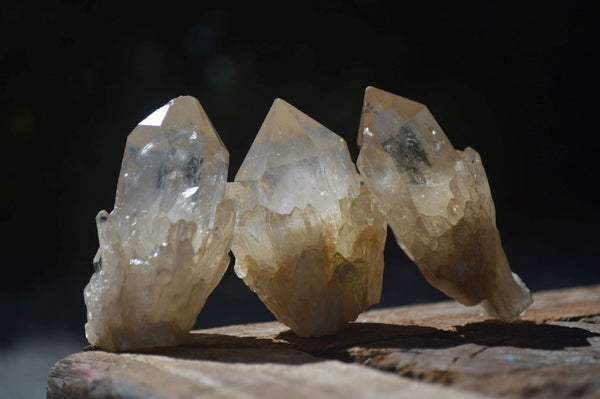 Natural Cascading Citrine Crystals  x 35 From Luena, Congo - Toprock Gemstones and Minerals 