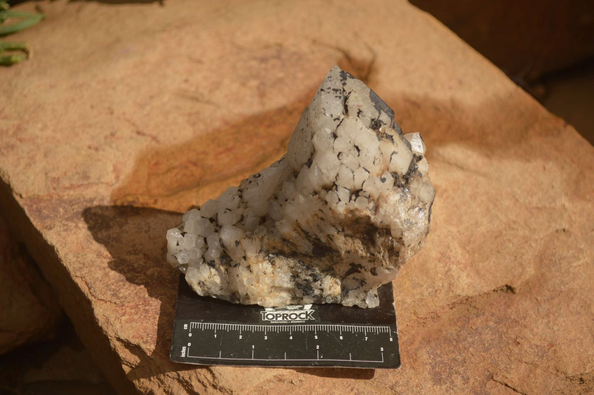 Natural Mixed Selection Of Quartz Specimens x 5 From Southern Africa - Toprock Gemstones and Minerals 