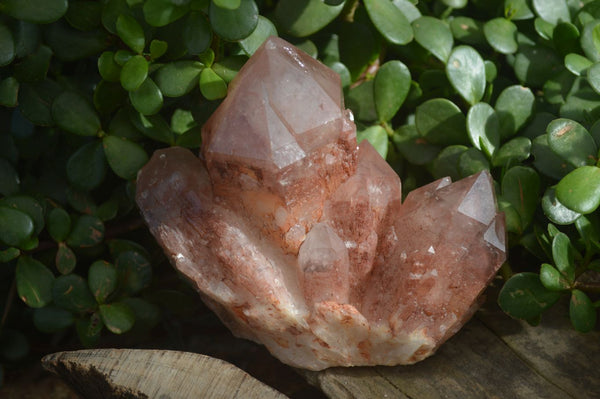 Natural Red Hematoid Quartz Specimens x 2 From Karoi, Zimbabwe - Toprock Gemstones and Minerals 