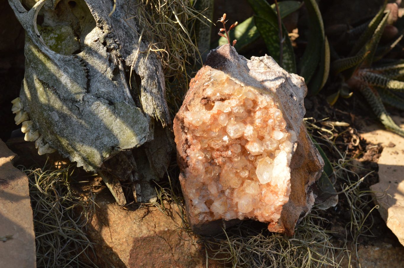 Natural Quartz Clusters With Golden Limonite Colouring  x 2 From Solwezi, Zambia - TopRock