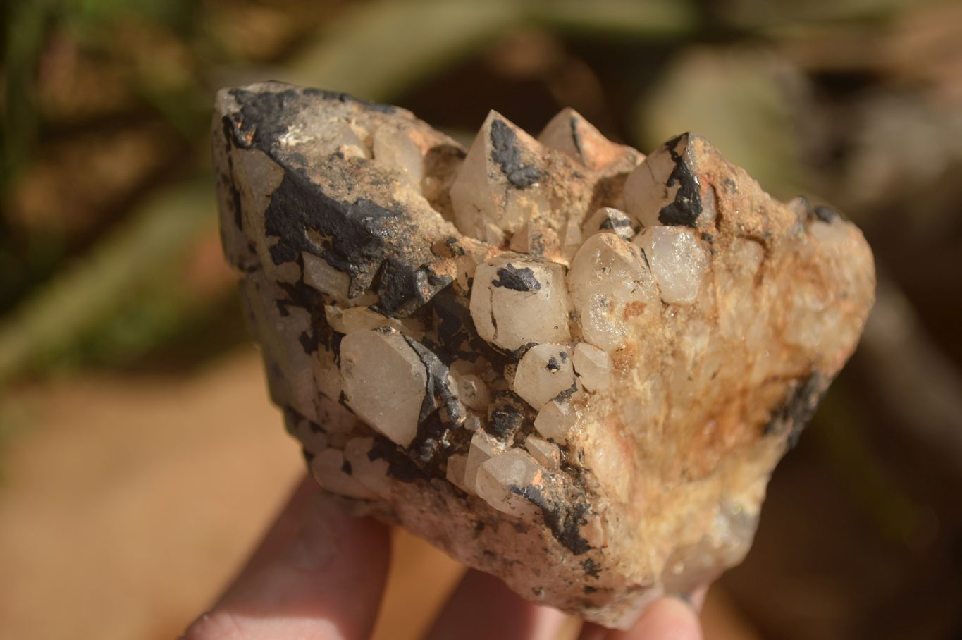 Natural Mixed Selection Of Quartz Specimens x 5 From Southern Africa - Toprock Gemstones and Minerals 
