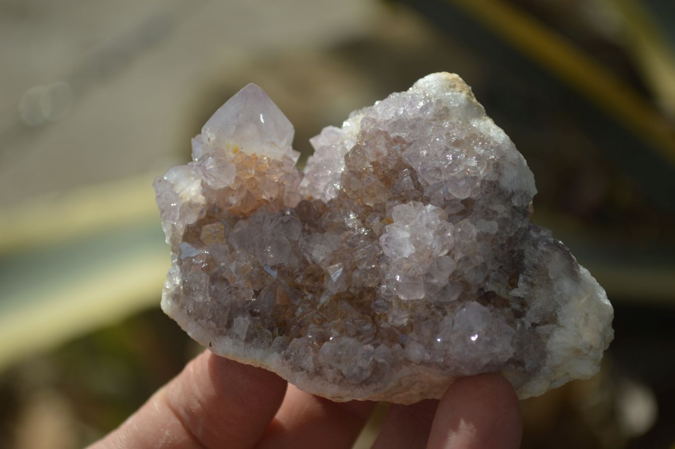 Natural Mixed Spirit Quartz Clusters x 6 From Boekenhouthoek, South Africa - Toprock Gemstones and Minerals 