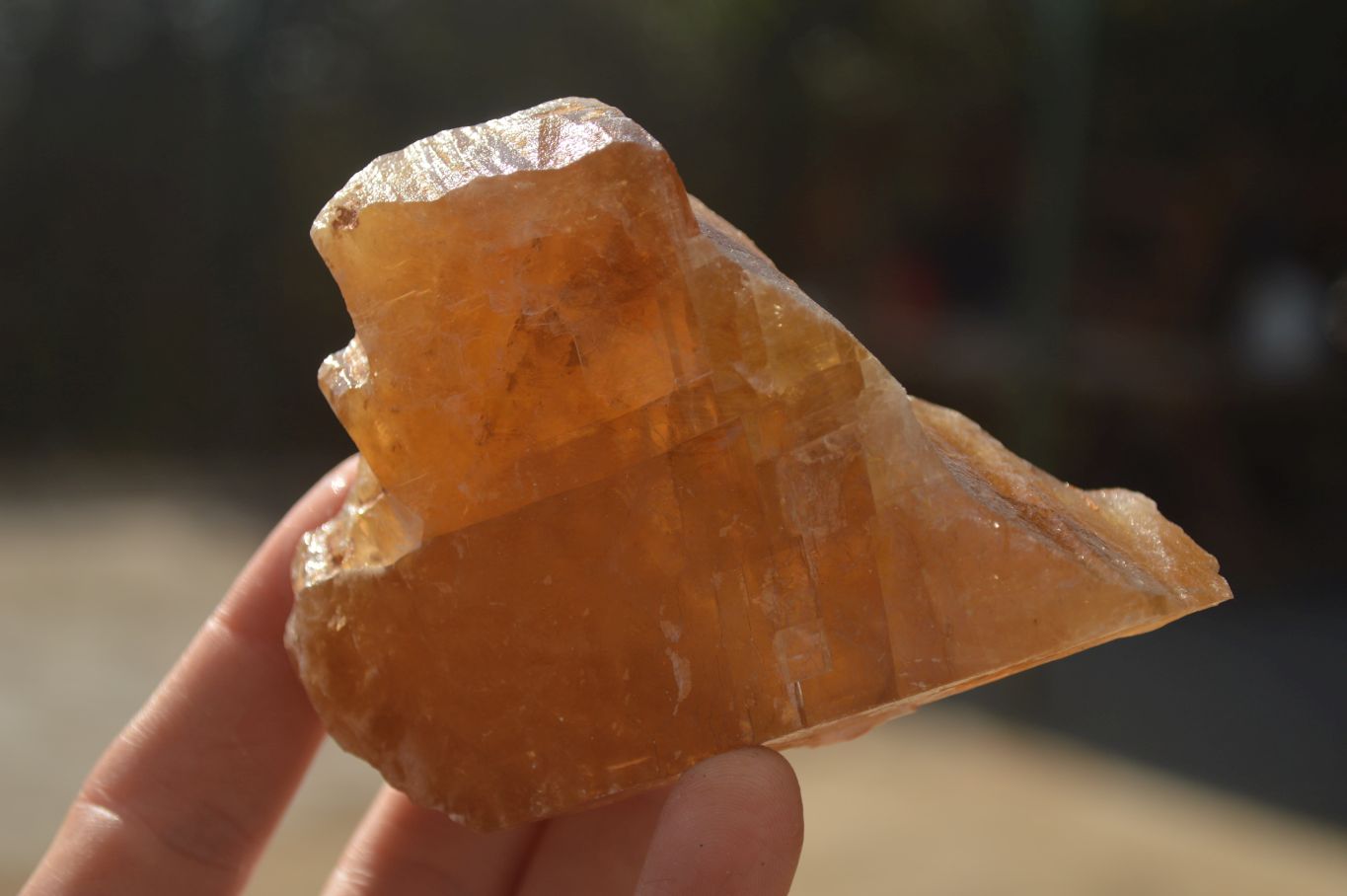Natural Honey Aragonite Etched & Cobbed Pieces  x 6 From Namibia - Toprock Gemstones and Minerals 