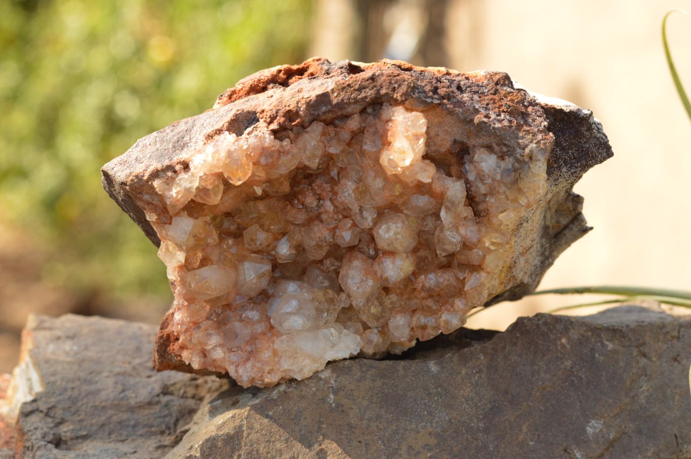 Natural Quartz Clusters With Golden Limonite Colouring  x 2 From Solwezi, Zambia - TopRock