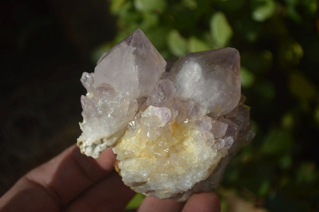 Natural Mixed Spirit Quartz Clusters x 6 From Boekenhouthoek, South Africa - Toprock Gemstones and Minerals 