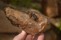 Natural Mixed Selection Of Quartz Specimens x 5 From Southern Africa - Toprock Gemstones and Minerals 