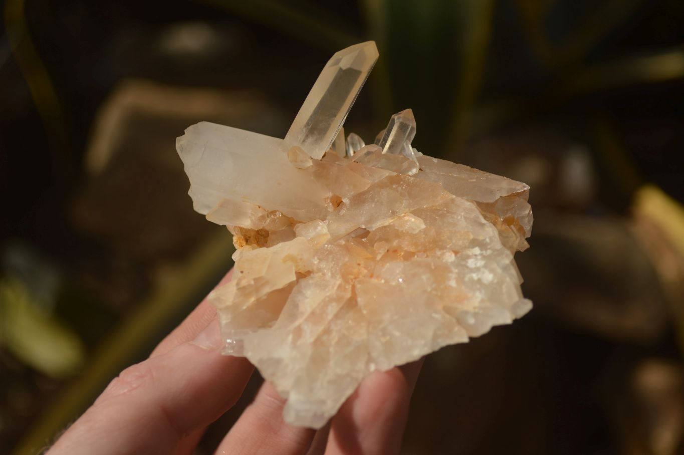 Natural Clear Quartz Crystal Clusters  x 12 From Madagascar - Toprock Gemstones and Minerals 