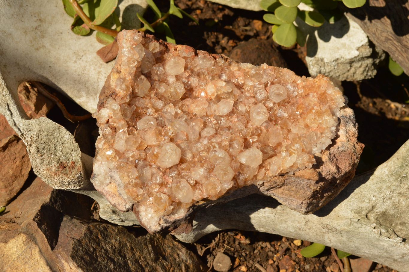 Natural Quartz Clusters With Golden Limonite Colouring  x 2 From Solwezi, Zambia - TopRock