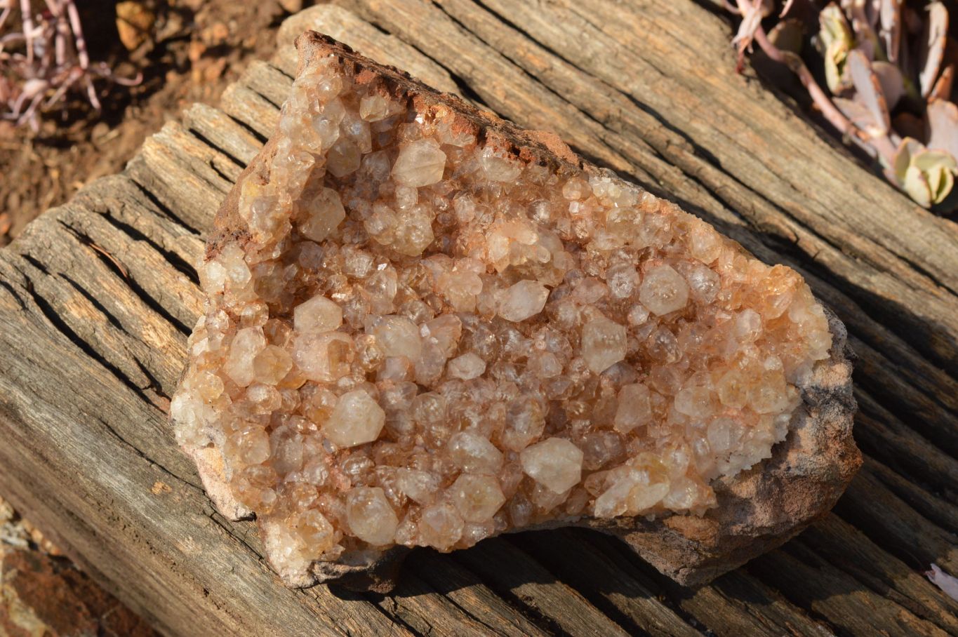 Natural Quartz Clusters With Golden Limonite Colouring  x 2 From Solwezi, Zambia - TopRock