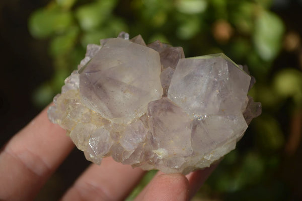 Natural Mixed Spirit Quartz Clusters x 6 From Boekenhouthoek, South Africa - Toprock Gemstones and Minerals 