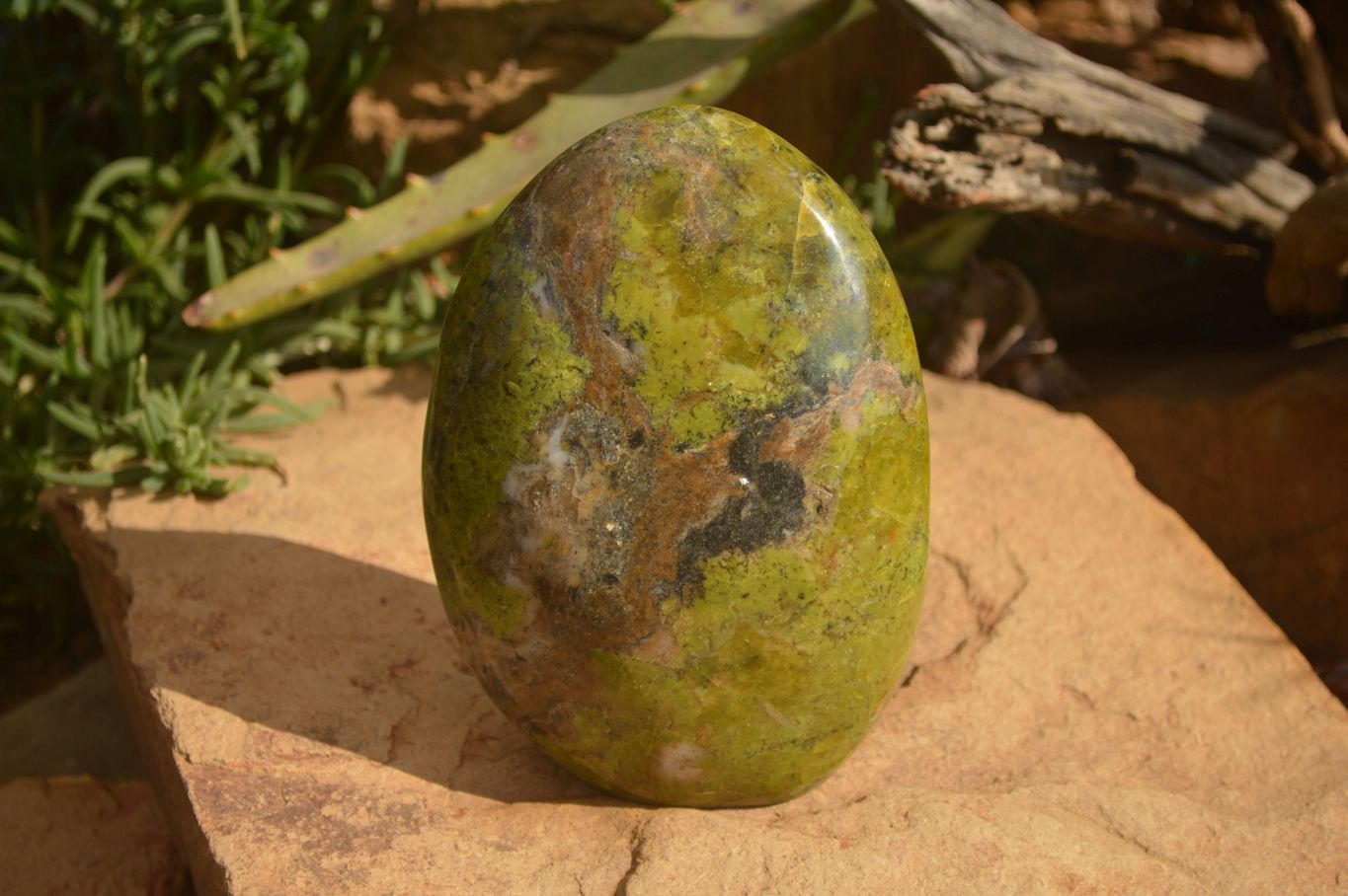 Polished  Green Opal Standing Free Forms  x 2 From Madagascar - Toprock Gemstones and Minerals 