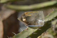 Polished Wispy Phantom Smokey Quartz Points x 12 From Madagascar - Toprock Gemstones and Minerals 