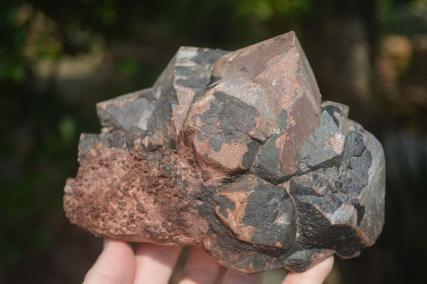 Natural Goethite Coated Blacknite Quartz Specimens  x 2 From Ambositra, Madagascar - Toprock Gemstones and Minerals 