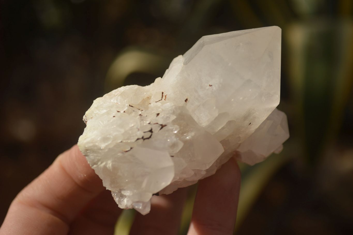 Natural Clear Quartz Crystal Clusters  x 12 From Madagascar - Toprock Gemstones and Minerals 