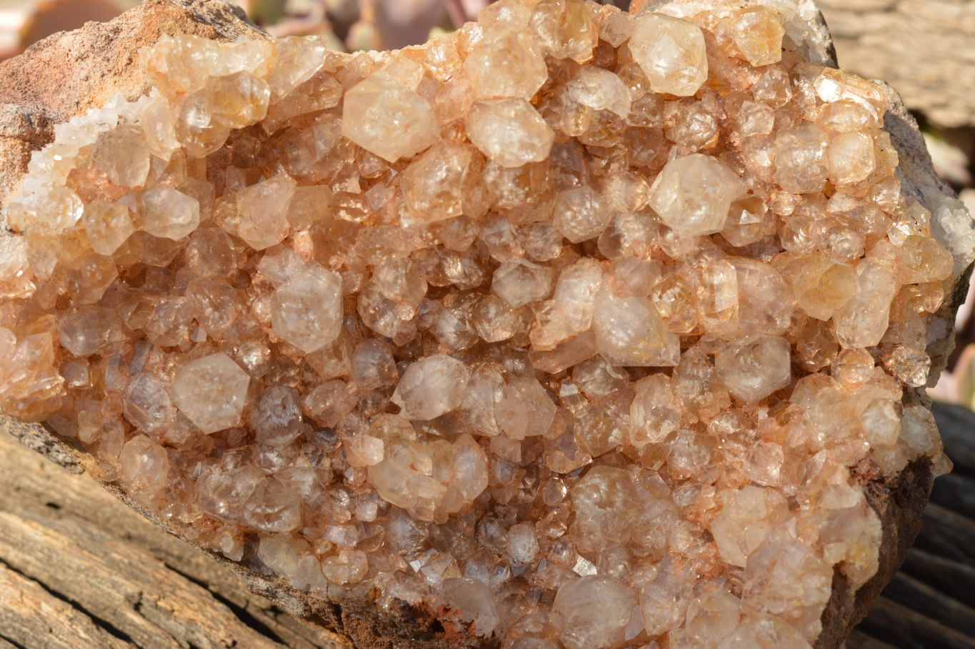 Natural Quartz Clusters With Golden Limonite Colouring  x 2 From Solwezi, Zambia - TopRock