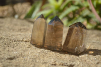 Polished Wispy Phantom Smokey Quartz Points x 12 From Madagascar - Toprock Gemstones and Minerals 