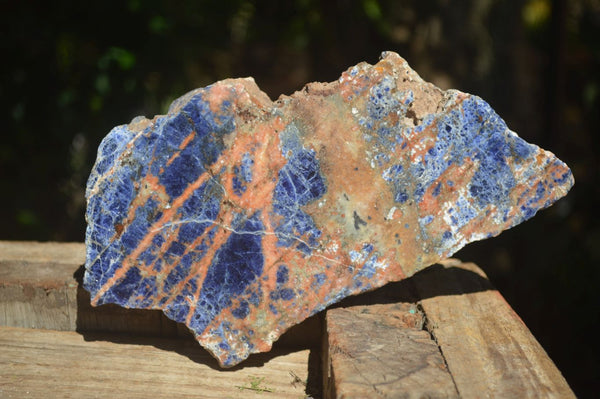 Polished Blue Sodalite Standing Slab  x 1 From Namibia - Toprock Gemstones and Minerals 