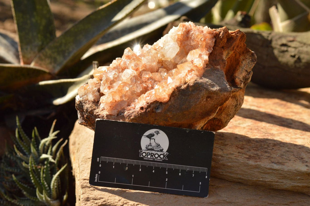 Natural Quartz Clusters With Golden Limonite Colouring  x 2 From Solwezi, Zambia - TopRock