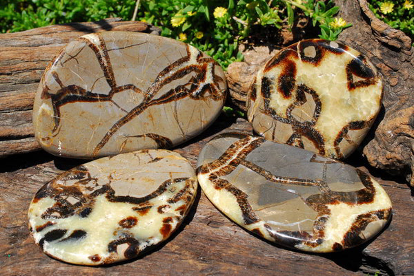 Polished Septeyre (Calcite & Aragontie) Slices x 4 From Mahajanga, Madagascar - TopRock
