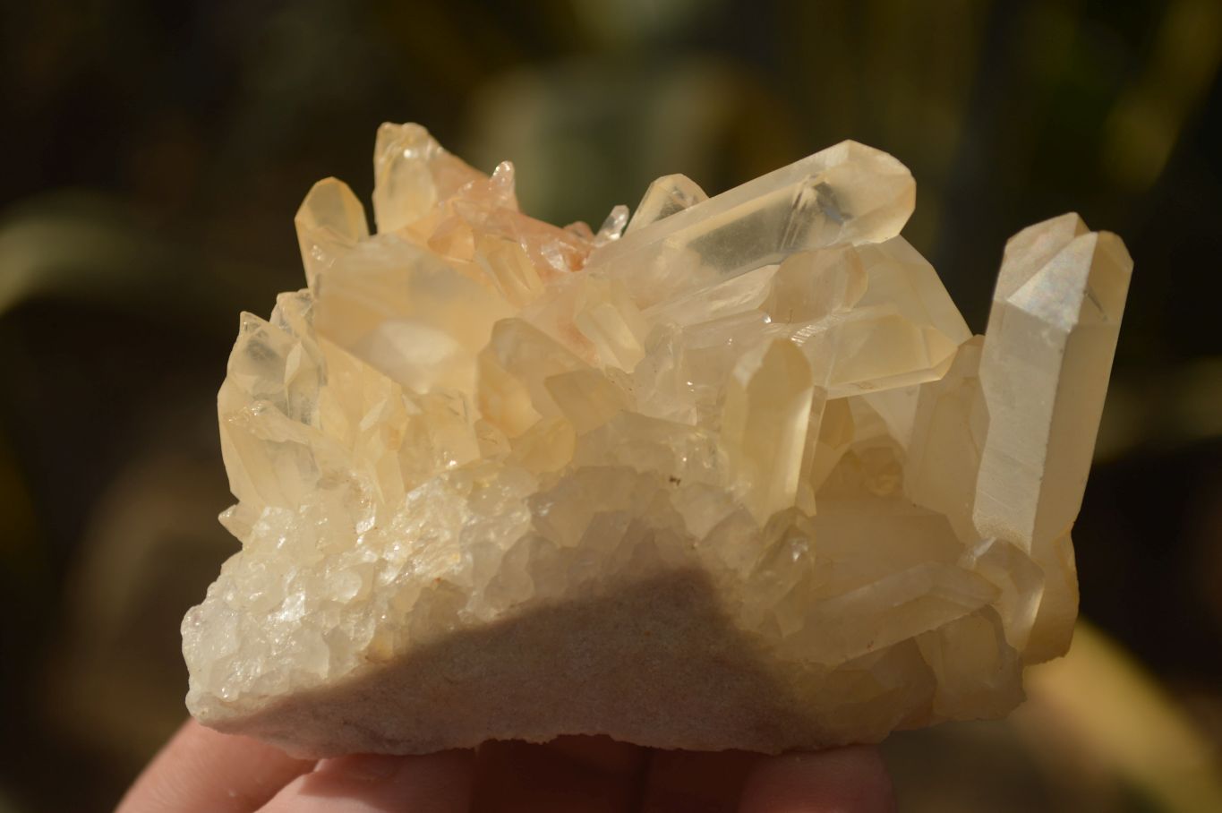 Natural Clear Quartz Crystal Clusters  x 12 From Madagascar - Toprock Gemstones and Minerals 