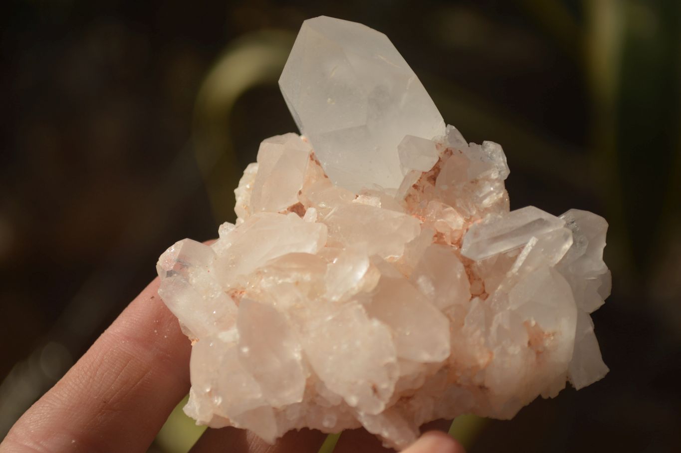Natural Clear Quartz Crystal Clusters  x 12 From Madagascar - Toprock Gemstones and Minerals 