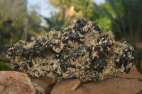 Natural Extra Large Schorl Tourmaline  With Vermiculite Specimens x 2 From Erongo, Namibia - Toprock Gemstones and Minerals 