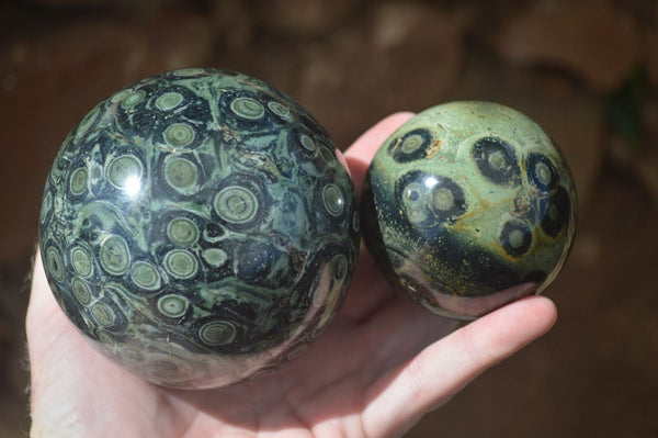 Polished Stromatolite / Kambamba Jasper Spheres  x 2 From Madagascar - Toprock Gemstones and Minerals 